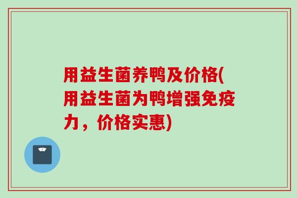 用益生菌养鸭及价格(用益生菌为鸭增强力,价格实惠) 用益生菌养鸭及价格(用益生菌为鸭增强力,价格实惠)