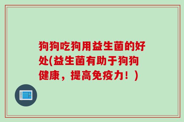 狗狗吃狗用益生菌的好处(益生菌有助于狗狗健康，提高力！)