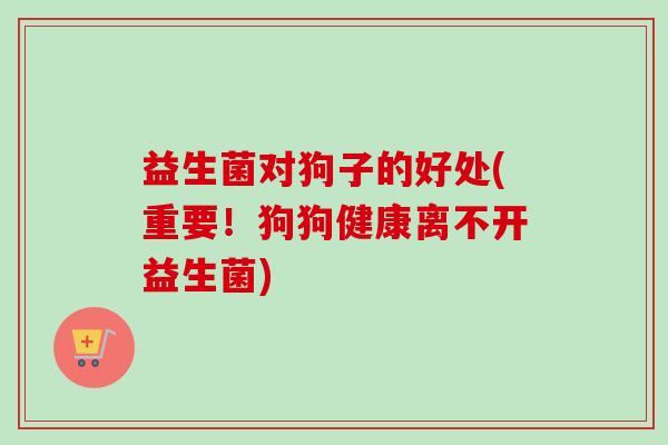 益生菌对狗子的好处(重要!狗狗健康离不开益生菌) 益生菌对狗子的好处(重要!狗狗健康离不开益生菌)