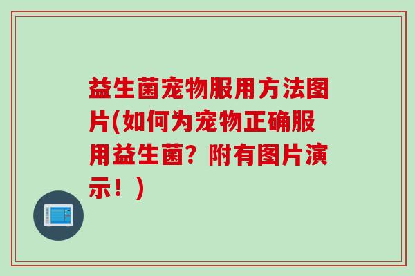 益生菌宠物服用方法图片(如何为宠物正确服用益生菌?附有图片演示!) 益生菌宠物服用方法图片(如何为宠物正确服用益生菌?附有图片演示!)