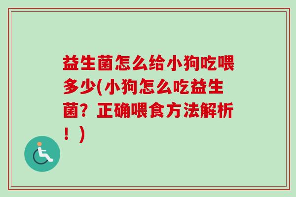 益生菌怎么给小狗吃喂多少(小狗怎么吃益生菌？正确喂食方法解析！)