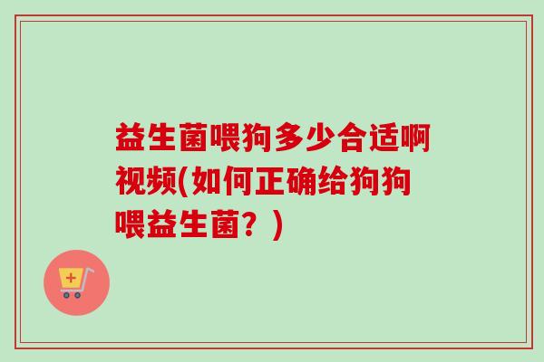 益生菌喂狗多少合适啊视频(如何正确给狗狗喂益生菌？)