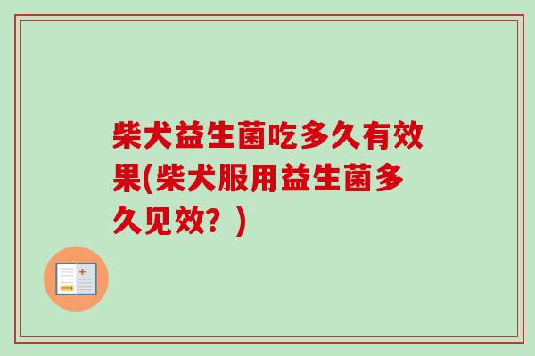 柴犬益生菌吃多久有效果(柴犬服用益生菌多久见效？)