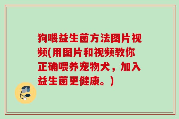 狗喂益生菌方法图片视频(用图片和视频教你正确喂养宠物犬,加入益生菌更健康。) 狗喂益生菌方法图片视频(用图片和视频教你正确喂养宠物犬,加入益生菌更健康。)