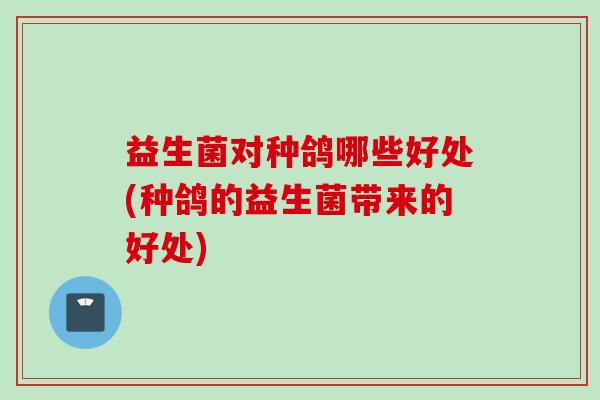 益生菌对种鸽哪些好处(种鸽的益生菌带来的好处)