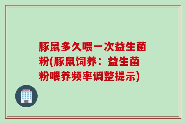 豚鼠多久喂一次益生菌粉(豚鼠饲养：益生菌粉喂养频率调整提示)