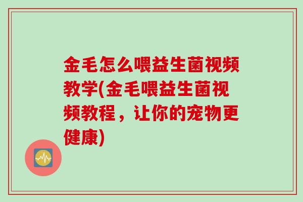 金毛怎么喂益生菌视频教学(金毛喂益生菌视频教程，让你的宠物更健康)
