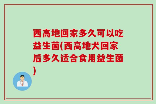 西高地回家多久可以吃益生菌(西高地犬回家后多久适合食用益生菌)