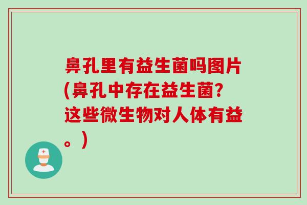 鼻孔里有益生菌吗图片(鼻孔中存在益生菌？这些微生物对人体有益。)