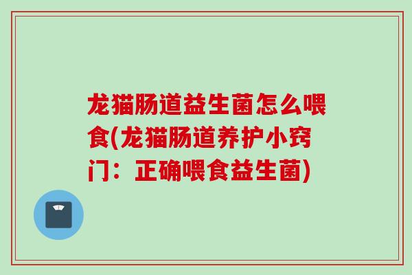 龙猫肠道益生菌怎么喂食(龙猫肠道养护小窍门:正确喂食益生菌) 龙猫肠道益生菌怎么喂食(龙猫肠道养护小窍门:正确喂食益生菌)
