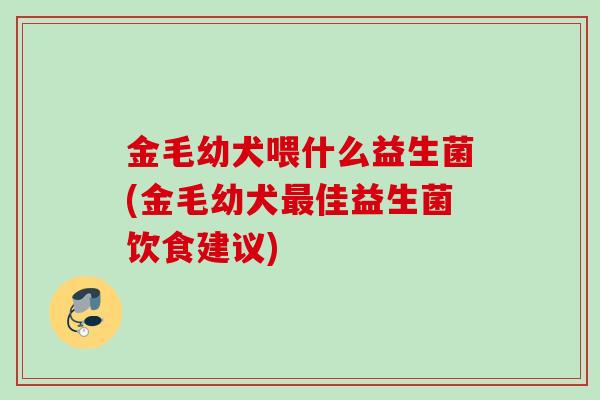 金毛幼犬喂什么益生菌(金毛幼犬佳益生菌饮食建议)