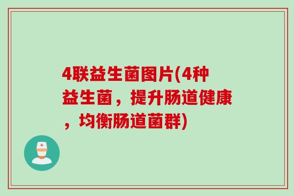 4联益生菌图片(4种益生菌，提升肠道健康，均衡肠道菌群)