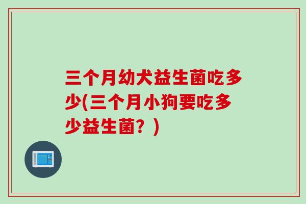 三个月幼犬益生菌吃多少(三个月小狗要吃多少益生菌？)