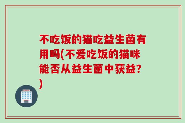 不吃饭的猫吃益生菌有用吗(不爱吃饭的猫咪能否从益生菌中获益?) 不吃饭的猫吃益生菌有用吗(不爱吃饭的猫咪能否从益生菌中获益?)