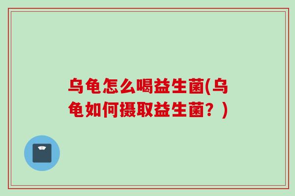 乌龟怎么喝益生菌(乌龟如何摄取益生菌？)