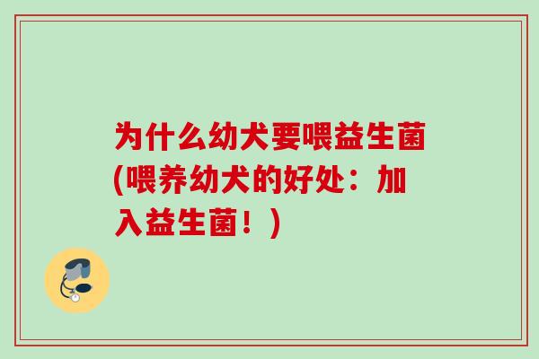 为什么幼犬要喂益生菌(喂养幼犬的好处:加入益生菌!) 为什么幼犬要喂益生菌(喂养幼犬的好处:加入益生菌!)