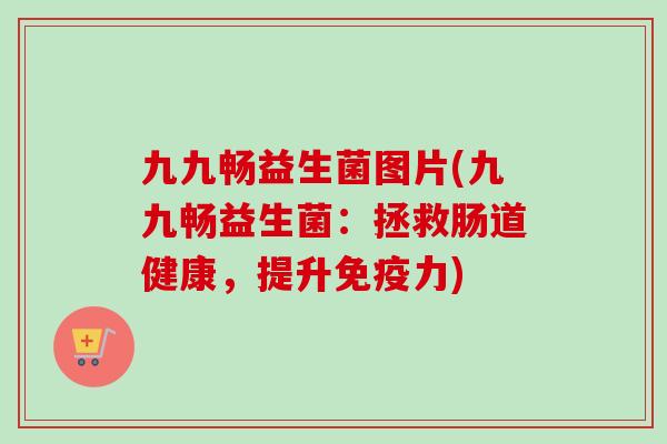 九九畅益生菌图片(九九畅益生菌：拯救肠道健康，提升力)