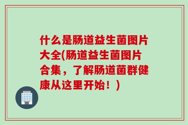 什么是肠道益生菌图片大全(肠道益生菌图片合集,了解肠道菌群健康从这里开始!) 什么是肠道益生菌图片大全(肠道益生菌图片合集,了解肠道菌群健康从这里开始!)