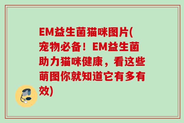 EM益生菌猫咪图片(宠物必备！EM益生菌助力猫咪健康，看这些萌图你就知道它有多有效)