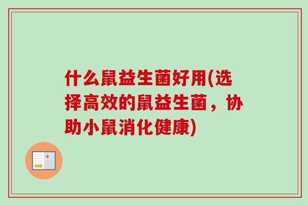 什么鼠益生菌好用(选择高效的鼠益生菌，协助小鼠消化健康)