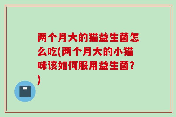 两个月大的猫益生菌怎么吃(两个月大的小猫咪该如何服用益生菌?) 两个月大的猫益生菌怎么吃(两个月大的小猫咪该如何服用益生菌?)