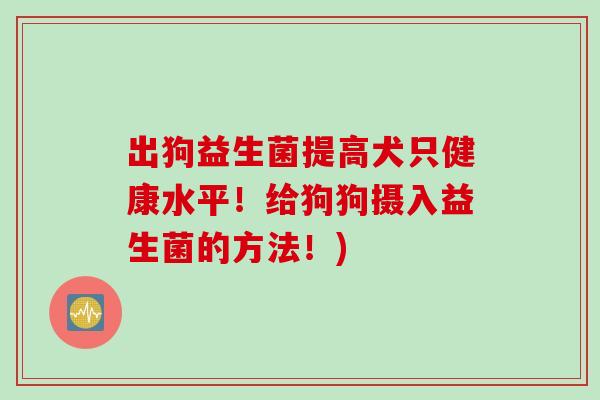 出狗益生菌提高犬只健康水平！给狗狗摄入益生菌的方法！)