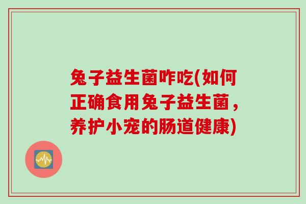 兔子益生菌咋吃(如何正确食用兔子益生菌,养护小宠的肠道健康) 兔子益生菌咋吃(如何正确食用兔子益生菌,养护小宠的肠道健康)
