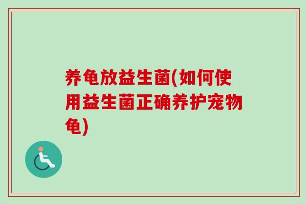 养龟放益生菌(如何使用益生菌正确养护宠物龟)