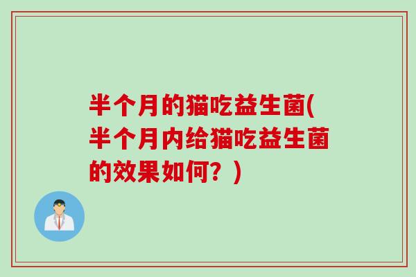 半个月的猫吃益生菌(半个月内给猫吃益生菌的效果如何？)