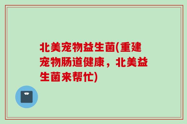 北美宠物益生菌(重建宠物肠道健康,北美益生菌来帮忙) 北美宠物益生菌(重建宠物肠道健康,北美益生菌来帮忙)