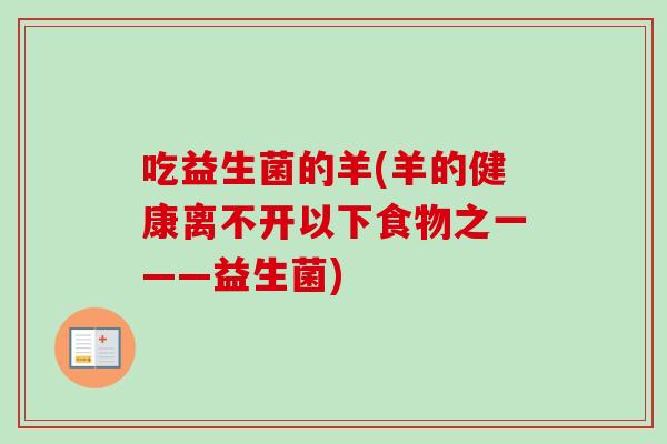 吃益生菌的羊(羊的健康离不开以下食物之一——益生菌)