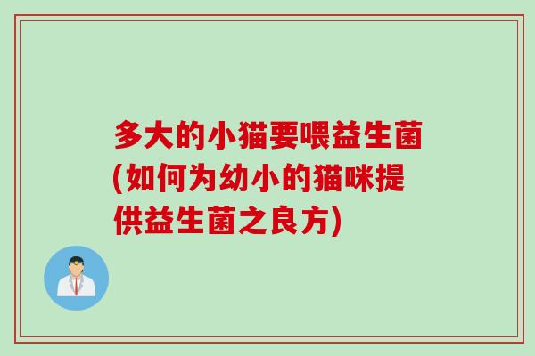 多大的小猫要喂益生菌(如何为幼小的猫咪提供益生菌之良方)