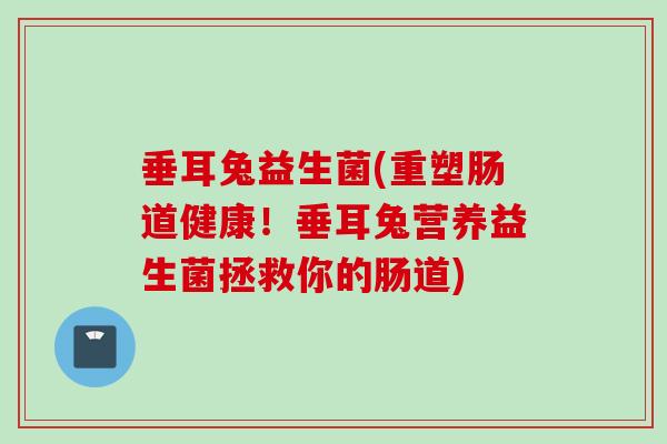垂耳兔益生菌(重塑肠道健康！垂耳兔营养益生菌拯救你的肠道)