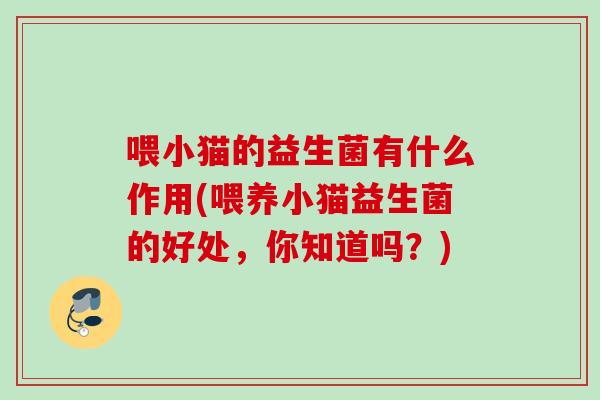 喂小猫的益生菌有什么作用(喂养小猫益生菌的好处,你知道吗?) 喂小猫的益生菌有什么作用(喂养小猫益生菌的好处,你知道吗?)
