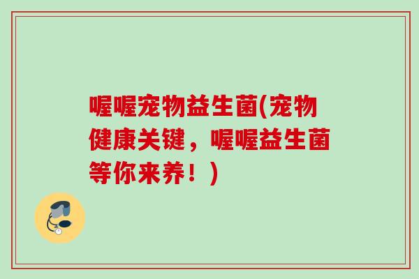 喔喔宠物益生菌(宠物健康关键,喔喔益生菌等你来养!) 喔喔宠物益生菌(宠物健康关键,喔喔益生菌等你来养!)