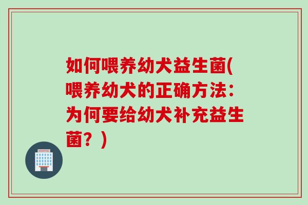 如何喂养幼犬益生菌(喂养幼犬的正确方法：为何要给幼犬补充益生菌？)