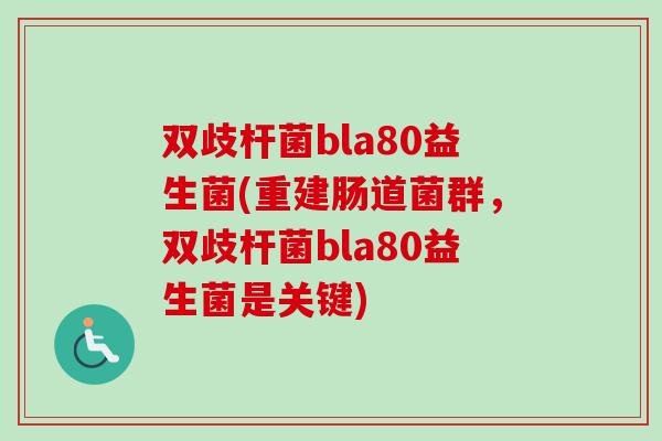 双歧杆菌bla80益生菌(重建肠道菌群，双歧杆菌bla80益生菌是关键)