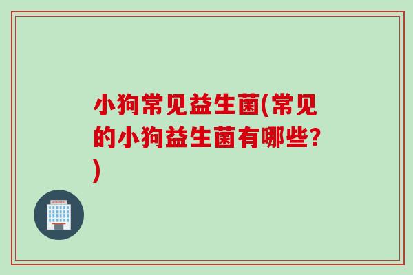 小狗常见益生菌(常见的小狗益生菌有哪些？)
