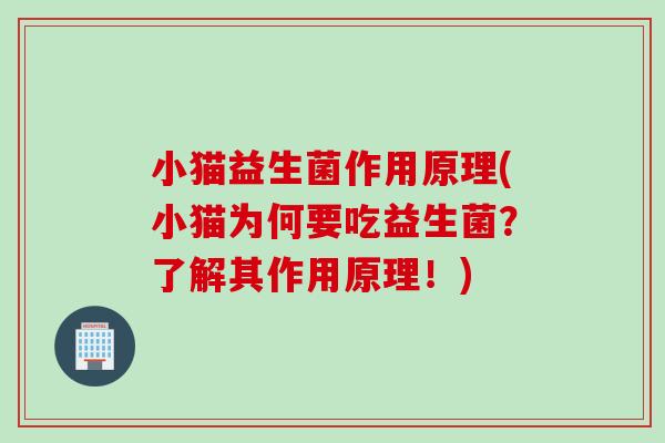 小猫益生菌作用原理(小猫为何要吃益生菌？了解其作用原理！)