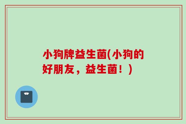 小狗牌益生菌(小狗的好朋友,益生菌!) 小狗牌益生菌(小狗的好朋友,益生菌!)