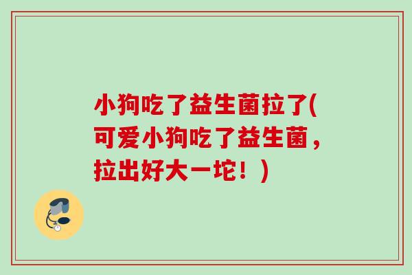小狗吃了益生菌拉了(可爱小狗吃了益生菌，拉出好大一坨！)