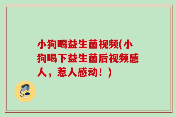 小狗喝益生菌视频(小狗喝下益生菌后视频感人，惹人感动！)