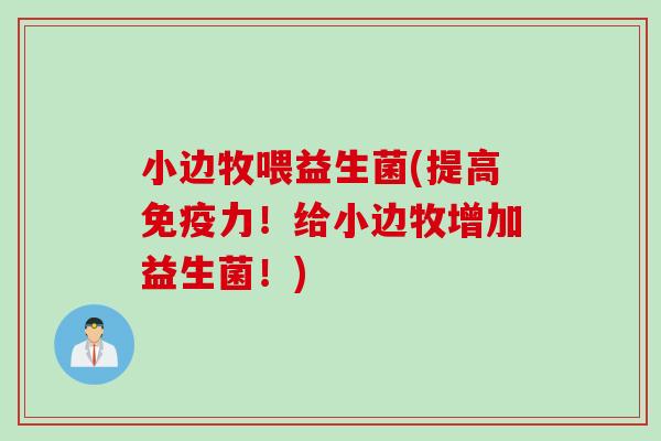 小边牧喂益生菌(提高力！给小边牧增加益生菌！)