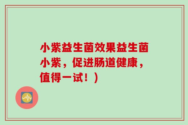 小紫益生菌效果益生菌小紫，促进肠道健康，值得一试！)