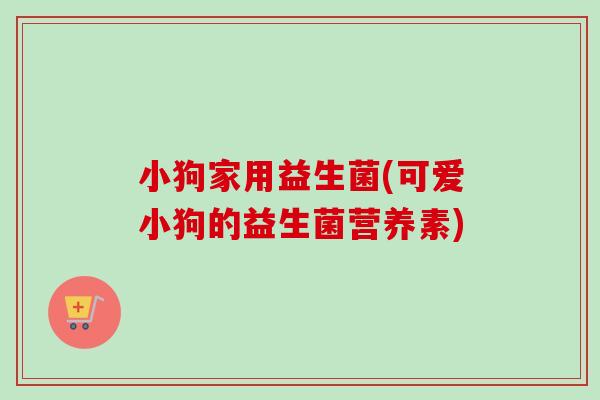 小狗家用益生菌(可爱小狗的益生菌营养素) 小狗家用益生菌(可爱小狗的益生菌营养素)