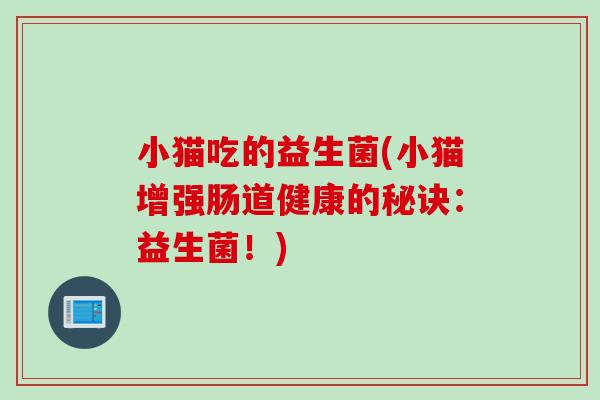小猫吃的益生菌(小猫增强肠道健康的秘诀：益生菌！)