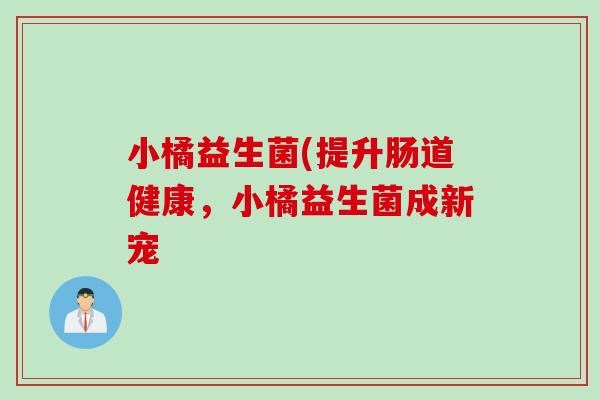 小橘益生菌(提升肠道健康，小橘益生菌成新宠