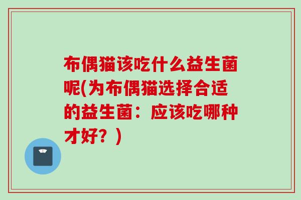 布偶猫该吃什么益生菌呢(为布偶猫选择合适的益生菌：应该吃哪种才好？)