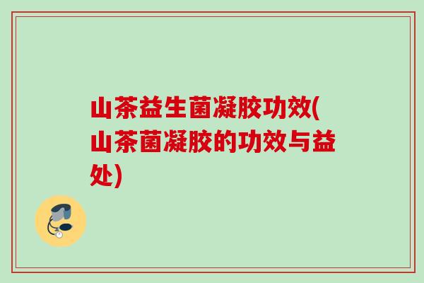山茶益生菌凝胶功效(山茶菌凝胶的功效与益处)