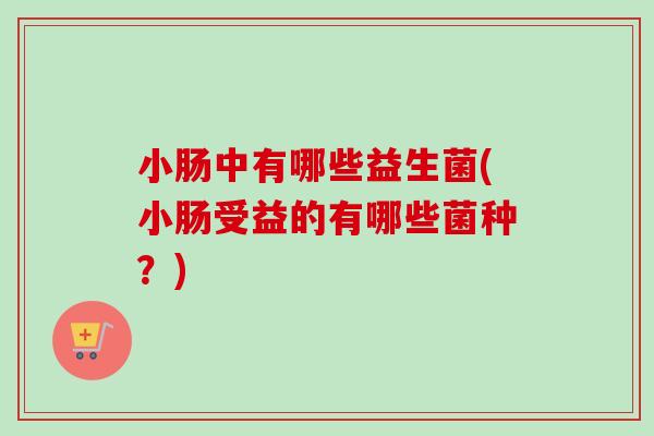 小肠中有哪些益生菌(小肠受益的有哪些菌种？)